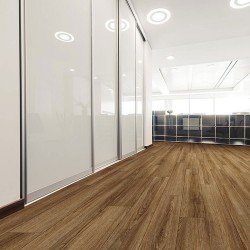 COREtec Pro Plus Enhanced - Rocca Oak